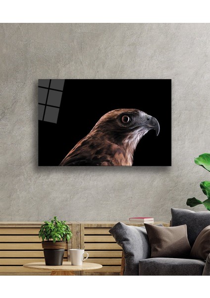 Kartal Hayvan Cam Tablo fiyatları