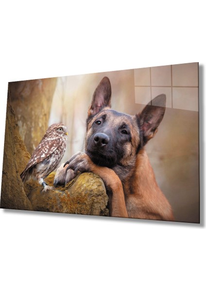 Kuş ve Köpek Cam Tablo
