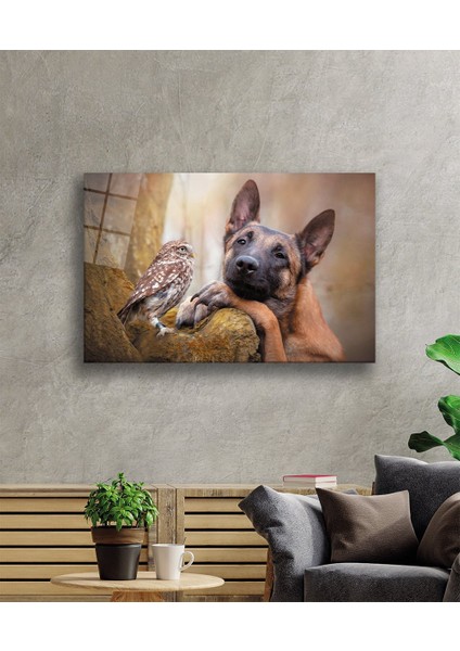 Kuş ve Köpek Cam Tablo