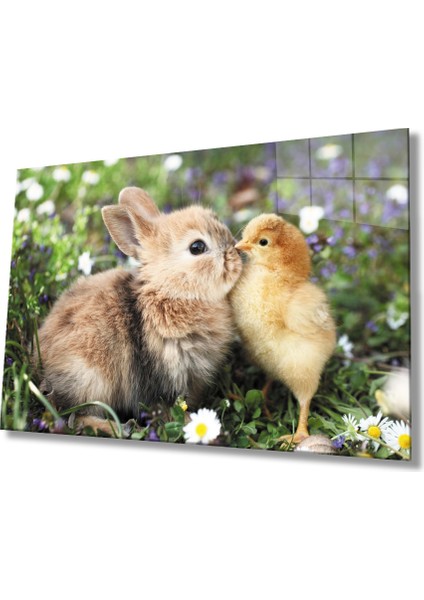 Tavşan ve Civciv Cam Tablo