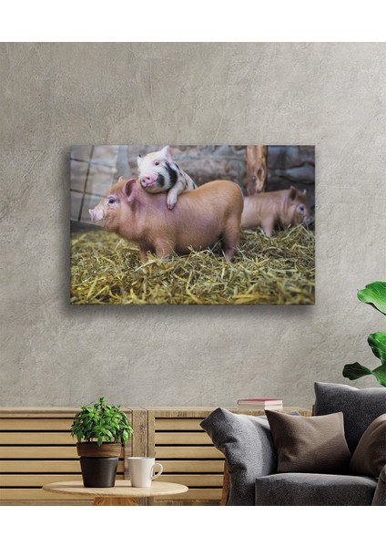 Domuzlar Cam Tablo fiyatları