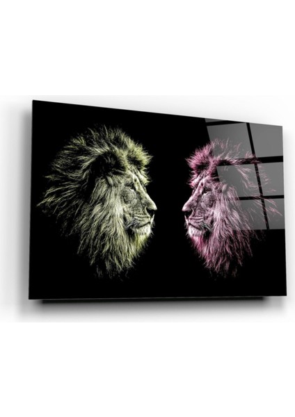 Aslan Cam Tablo fiyatları