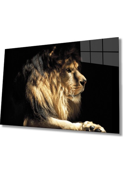 Aslan Cam Tablo