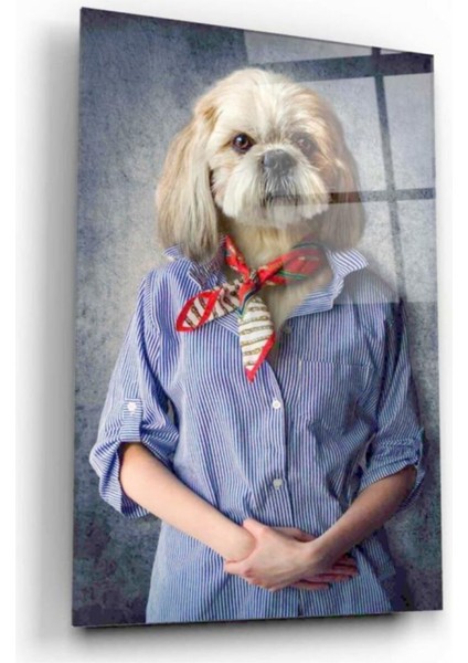 Köpek Cam Tablo