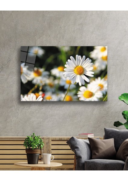 Papatya Cam Tablo Daisy fiyatları