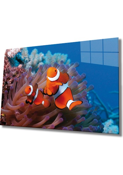 Balıklar Cam Tablo Fishes