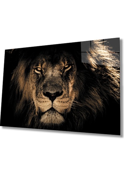 Aslan Cam Tablo