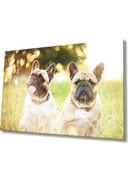 Köpekler Cam Tablo