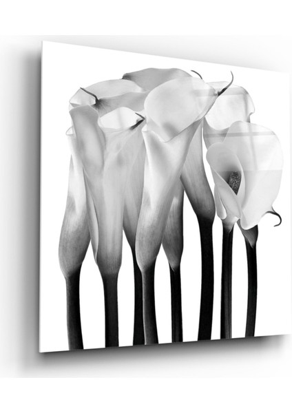 Çiçekler Cam Tablo