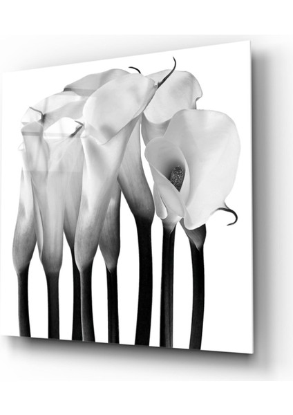 Çiçekler Cam Tablo fiyatları