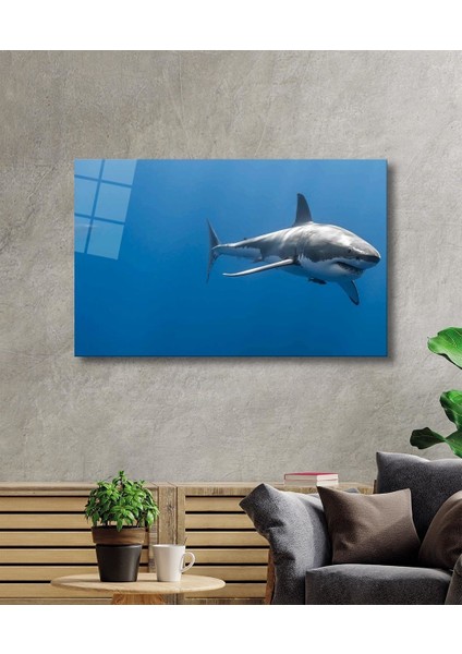 Köpek Balığı Cam Tablo Shark