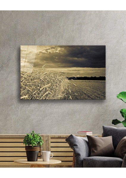 Gün Batımında Başaklar Cam Tablo fiyatları