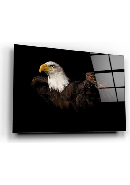 Kartal Cam Tablo