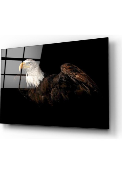 Kartal Cam Tablo fiyatları