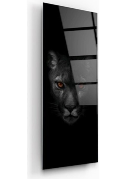 Jaguar Tema Cam Tablo