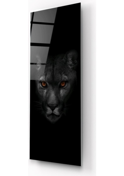 Jaguar Tema Cam Tablo modelleri