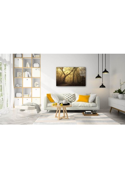 Doğa Cam Tablo fiyatları