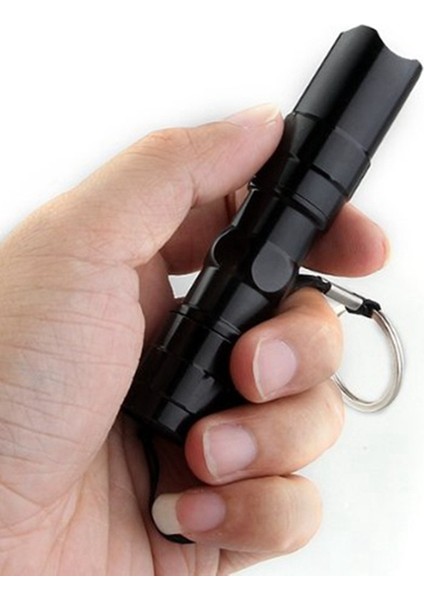 Flyeer 2x Su Geçirmez 3 W LED 200LM Süper Parlak Mini El Feneri Lamba Torch Kamp Balıkçılık (Yurt Dışından) indirimleri