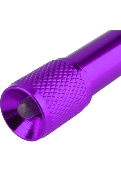 Mini Cep Taşınabilir Anahtarlık Anahtarlık LED Kamp El Feneri Torch Lambası Işık Mor (Yurt Dışından) indirimleri