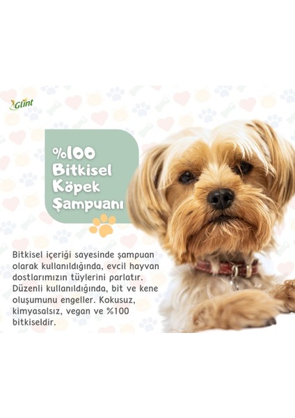 Pet Cleaner 1 Litre %100 Bitkisel Köpek Kedi Pati Temizleyici