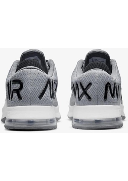 Air Max Alpha Trainer 4 Antrenman Ayakkabısı