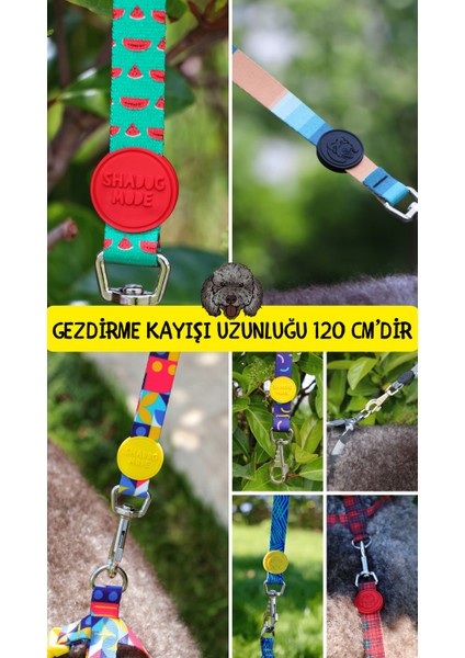 Colourful Gezdirme Kayışı