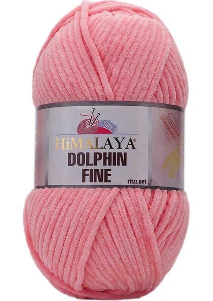 Dolphin Fine 80524 Somon