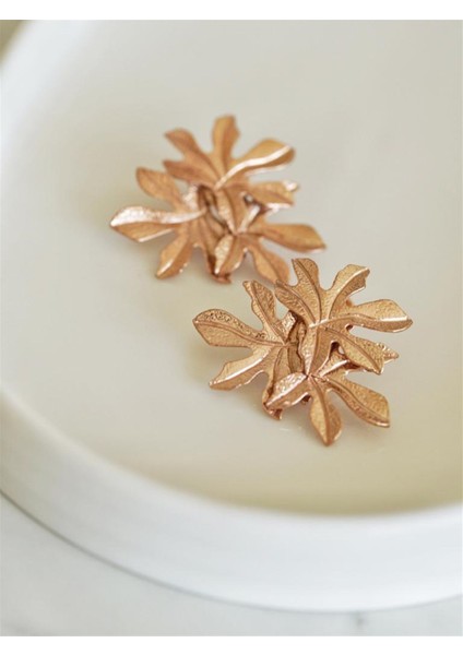 Yaprak Küpe fiyatları