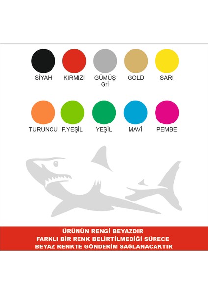 Köpek Balığı Sticker ( 2 Adet)