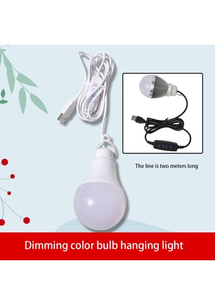 Taşınabilir Fenerler 10 W USB LED Ampul Işık Anahtarı Düğmesi ile Ev Acil Gece Lambası Yürüyüş Kamp Balıkçılık Dış Aydınlatma (Yurt Dışından)