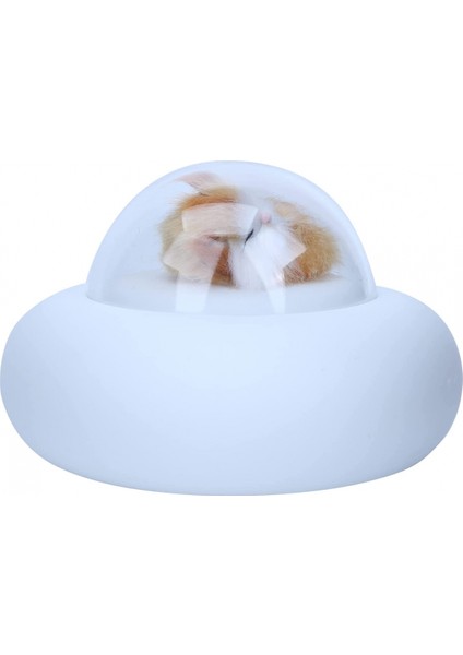 LED Bataryalı Gece Lambaları, Pratik Silikon Bataryalı Gece Lambası Profesyonel Tasarım Kompakt Boyutlu Hafif Yüksek Kaliteli Silikon, Arkadaşlara Uygun Ofis (Kedi) (Yurt Dışından)