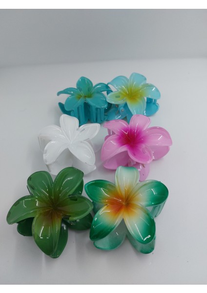 Renkli Lotus Toka (Büyük)