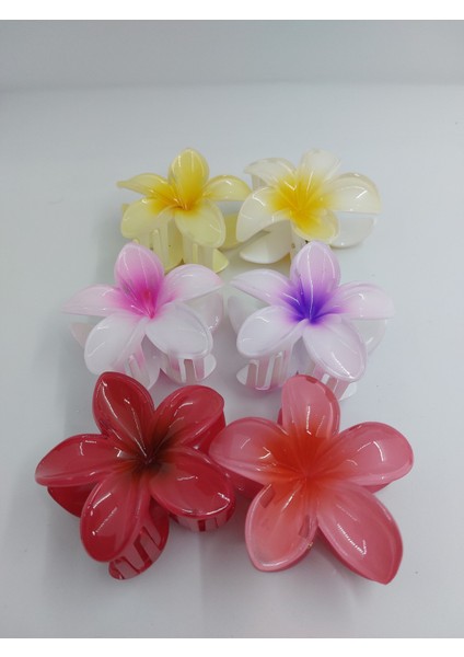 Renkli Lotus Toka (Büyük)