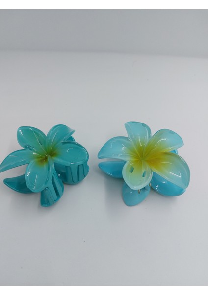 Renkli Lotus Toka (Büyük)