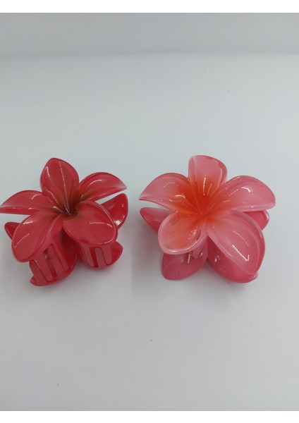 Renkli Lotus Toka (Büyük)
