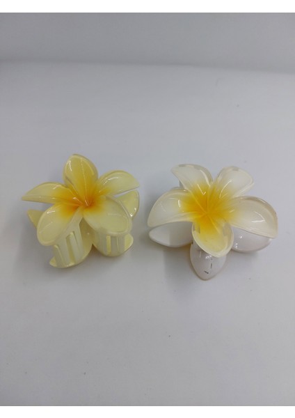 Renkli Lotus Toka (Büyük)