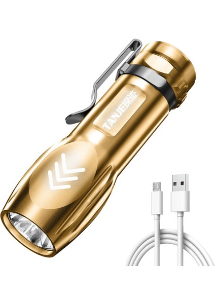 LED Mini El Feneri Kalem Klipsli Taşınabilir Bisiklet El Feneri USB Şarjlı Dış Mekan Projektör (Yurt Dışından)