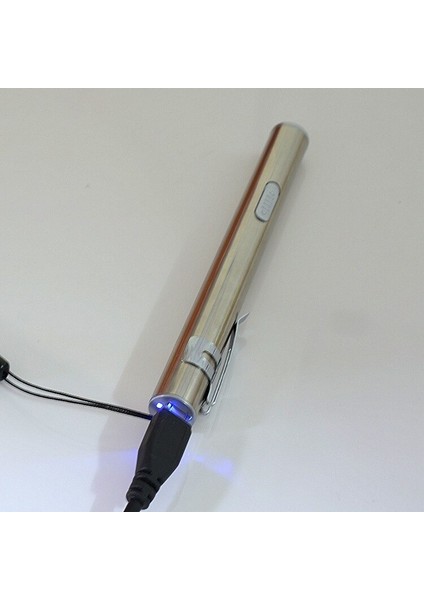 Mini Hemşirelik El Feneri LED Torch Tıbbi Kullanışlı Kalem Işık USB Şarj Edilebilir Paslanmaz Çelik Klip Acil Taşınabilir Işık (Yurt Dışından)