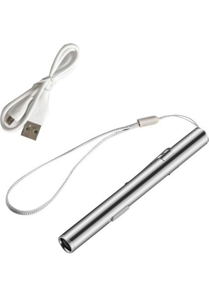 Tıbbi Kullanışlı Kalem Şekilli USB Şarj Edilebilir El Feneri Tıbbi Kullanım Için Klipsli Gümüş LED Torch (Yurt Dışından)