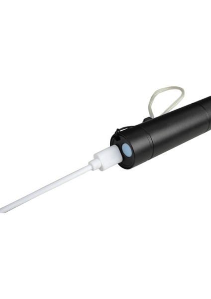 USB Şarjlı Taşınabilir Xpe+Cob LED El Feneri Muayene Lambası Dış Mekan Kullanımı Için Dahili Pil ile Güçlü Işık Orch (Yurt Dışından) fırsatları