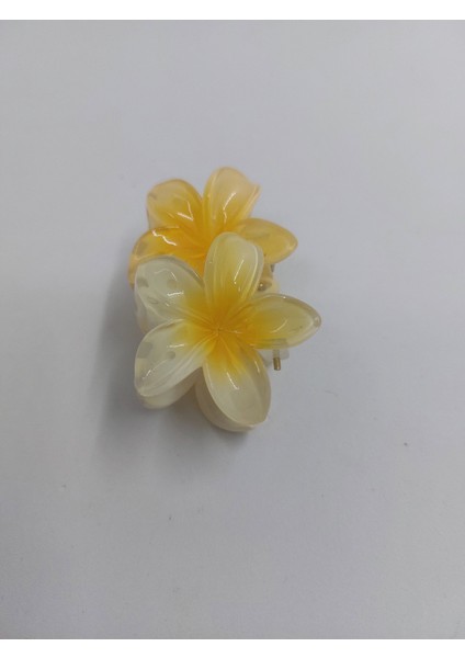 Lotus Toka Küçük 2'li modelleri