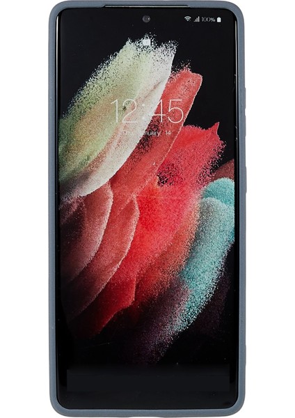 Samsung Galaxy S21 Için Ultra 5g Anti-Fall Anti-Fall Çift Taraflı Mat Tpu Kasası Kayak Düşünce Müvenli Cep Telefonu Geri Kapak Grey (Yurt Dışından)