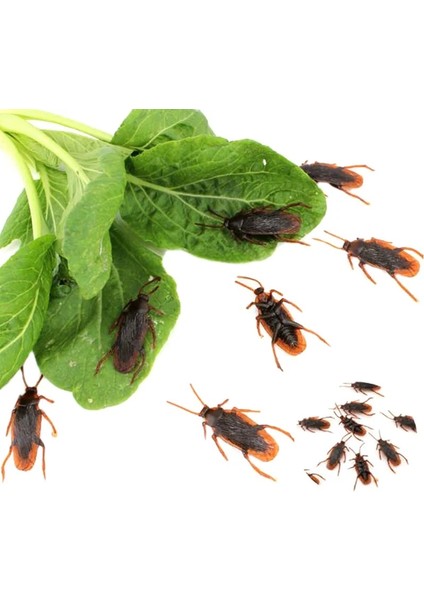 12 Adet 12 Adet Yapay Sahte Hamamböceği Cadılar Bayramı Sahne Komik Trick Şaka Oyuncakları Gerçekçi Roaches Bug Cadılar Bayramı Parodi Dekorasyon Hediye (Yurt Dışından) fırsatları