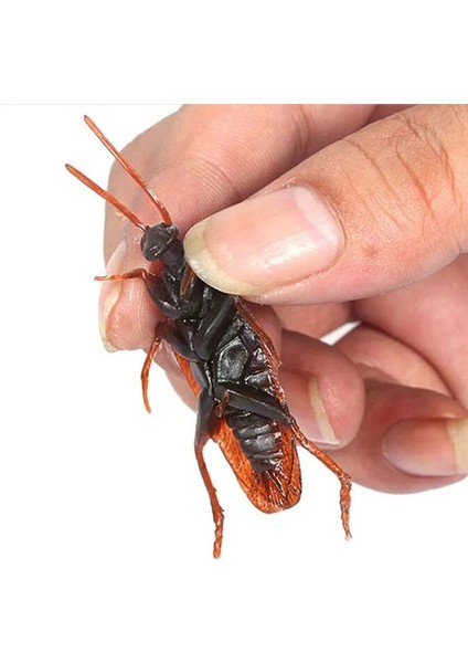12 Adet 12 Adet Yapay Sahte Hamamböceği Cadılar Bayramı Sahne Komik Trick Şaka Oyuncakları Gerçekçi Roaches Bug Cadılar Bayramı Parodi Dekorasyon Hediye (Yurt Dışından) indirimleri