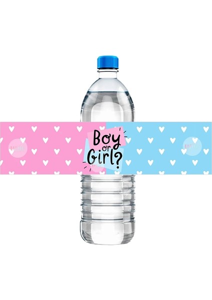 E 10 Adet Cinsiyet Reveal Parti Dekor Su Şişesi Etiketleri Çıkartmalar Kutusu Dekor Erkek Veya Kız It' A Boy It's A Girl Bebek Duş Partisi (Yurt Dışından)