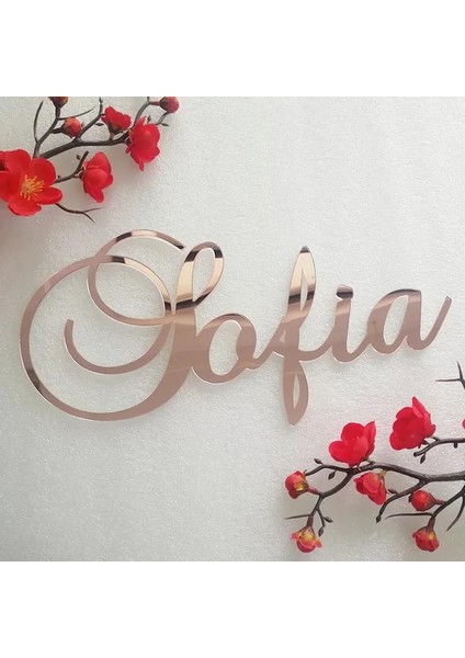 9 Ahşap 35 cm Uzunluğunda Özel Ayna Gül Altın Bebek Adı Burcu Kreş Duvar Dekorasyonu Kişiselleştirilmiş Ahşap Adı Burcu Rustik Düğün Parti Vaftiz (Yurt Dışından)