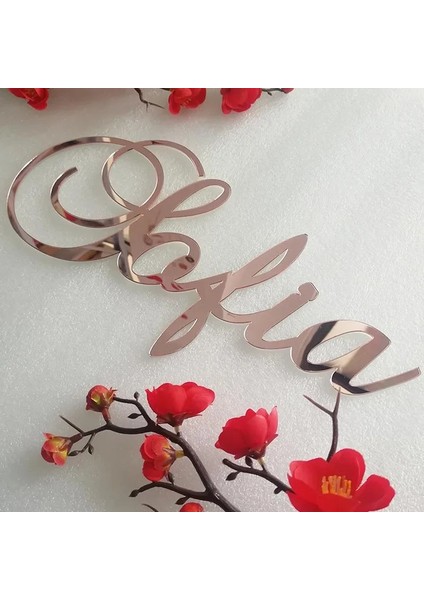 9 Ahşap 35 cm Uzunluğunda Özel Ayna Gül Altın Bebek Adı Burcu Kreş Duvar Dekorasyonu Kişiselleştirilmiş Ahşap Adı Burcu Rustik Düğün Parti Vaftiz (Yurt Dışından) fırsatları