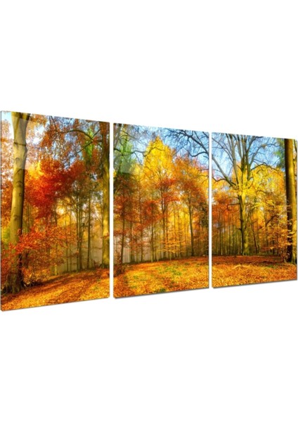 Sonbahar Renkleri Triple Cam Tablo