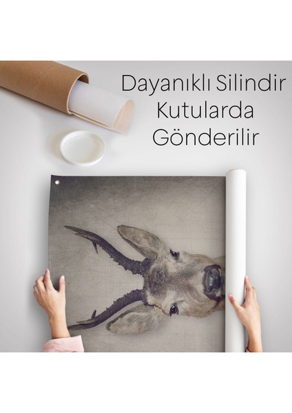Ceylan Kafalı Insan Duvar Örtüsü - Halısı -4983