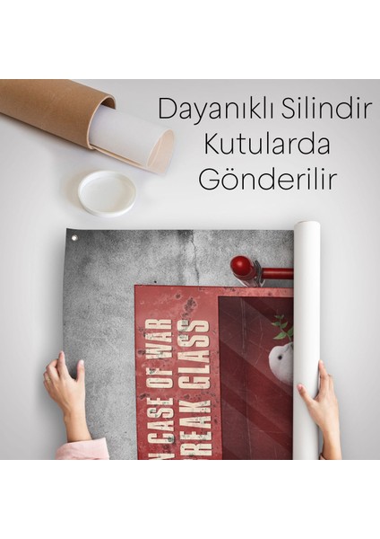 Savaş Durumunda Camı Kır Güvercin Duvar Örtüsü - HALISI-5258 indirimleri